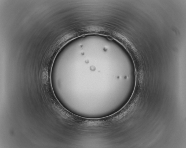 X0000115110825200911101603