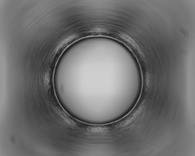 X0000115110826200911101603
