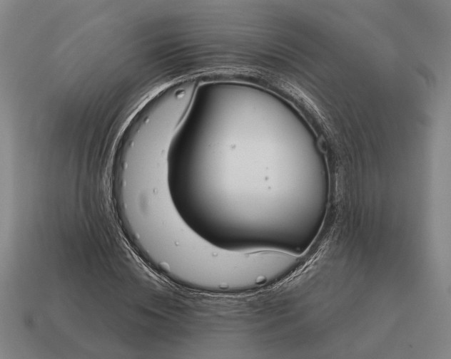 X0000115110828200911101604