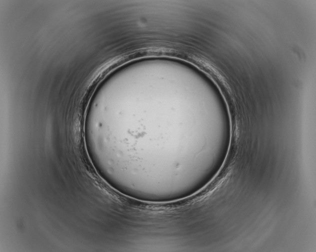 X0000115110829200911101604