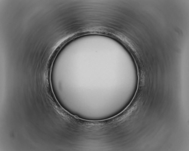 X0000115110830200911101604