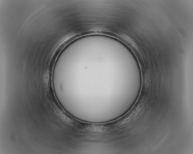 X0000115110831200911101604