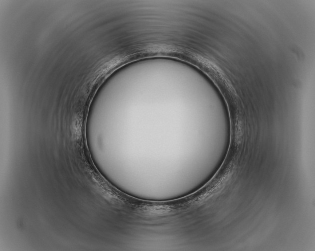 X0000115110833200911101604