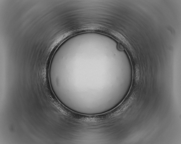 X0000115110834200911101604