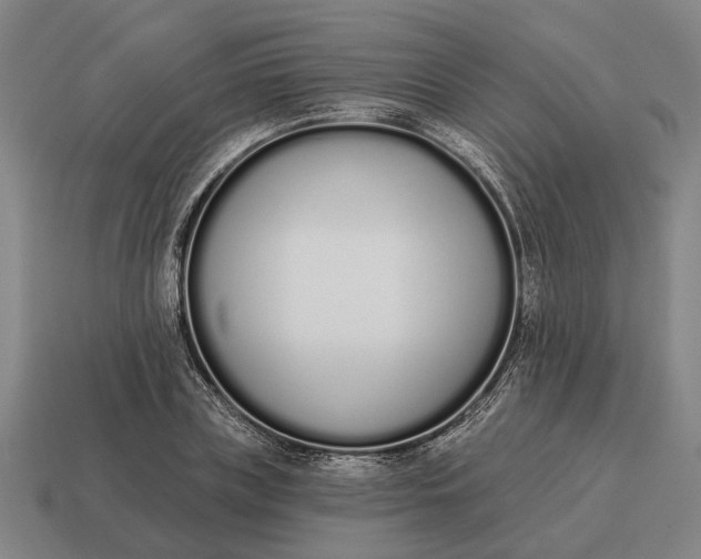 X0000115110835200911101604