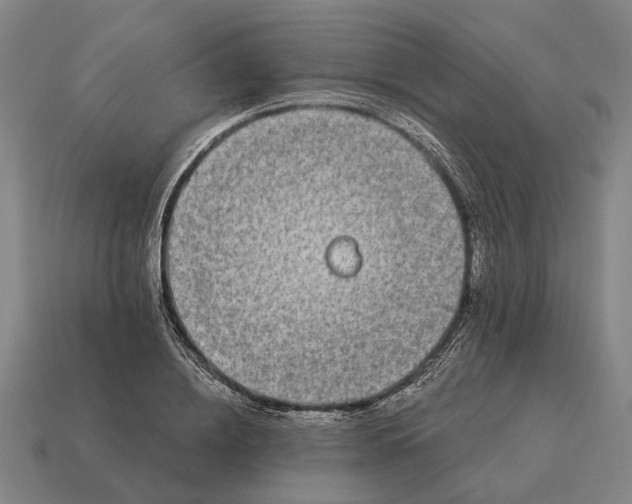 X0000115110836200911101604