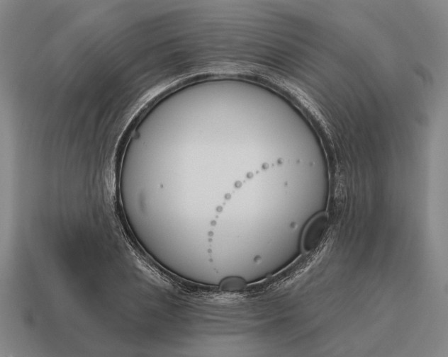 X0000115110837200911101604