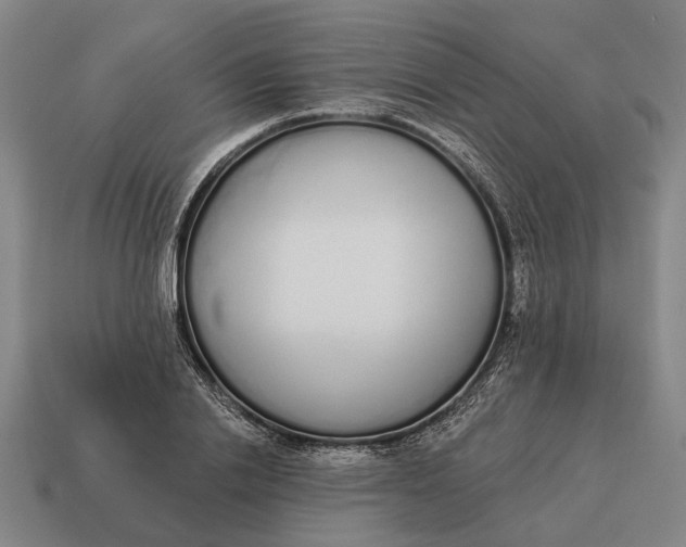 X0000115110838200911101604