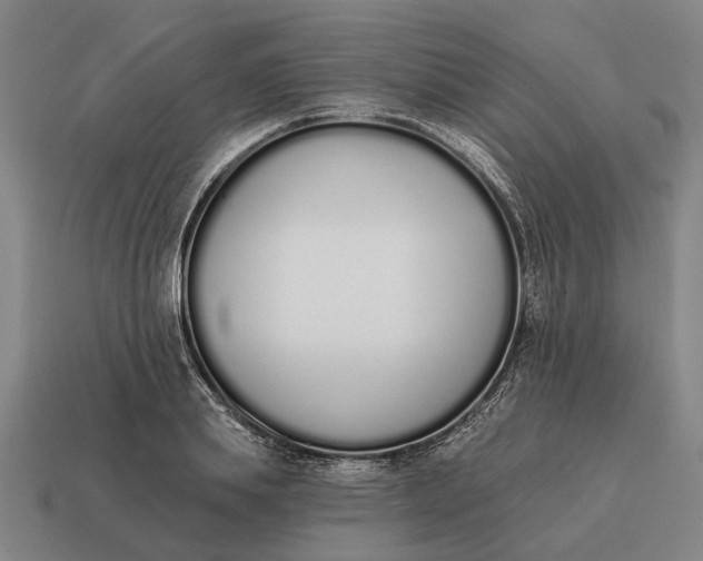 X0000115110839200911101604