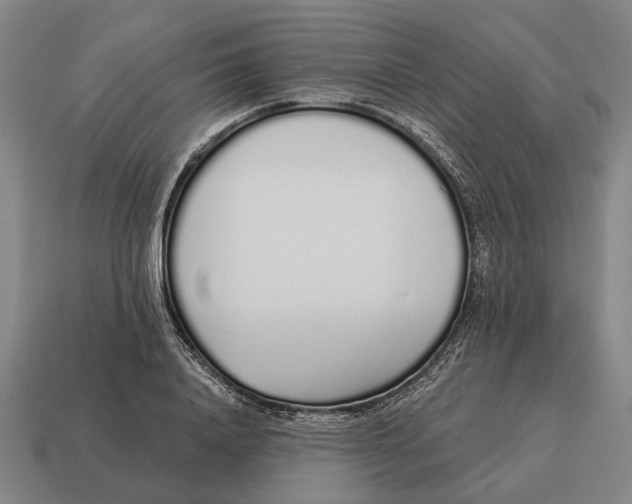 X0000115110840200911101604