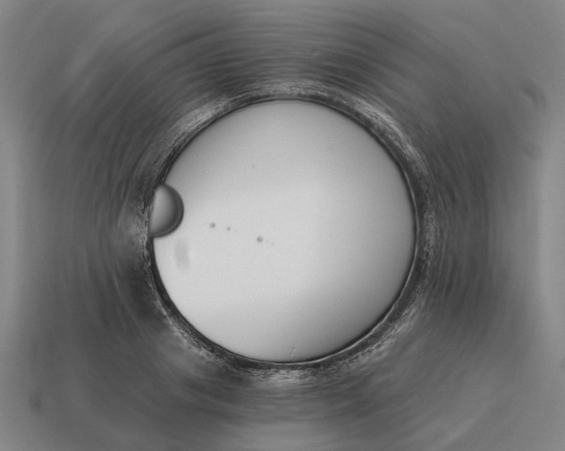 X0000115110841200911101604