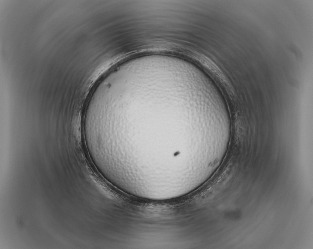 X0000115110842200911101604