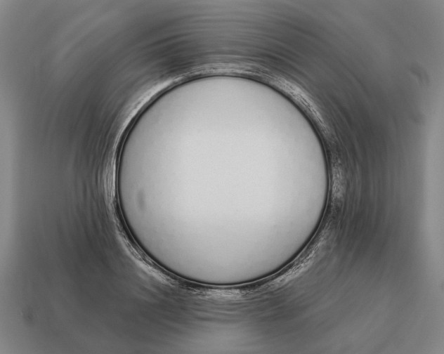 X0000115110844200911101604