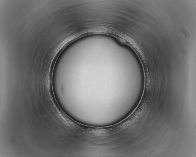 X0000115110845200911101604