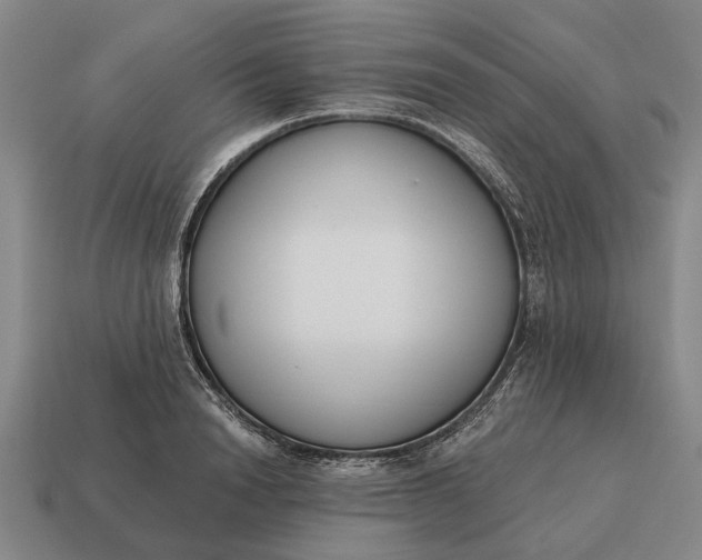 X0000115110846200911101604