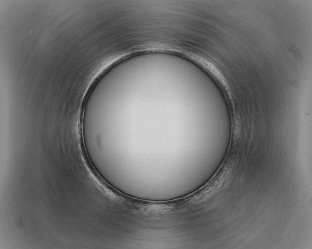 X0000115110847200911101604