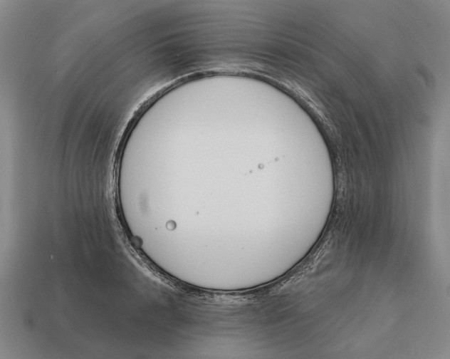 X0000115110848200911101604