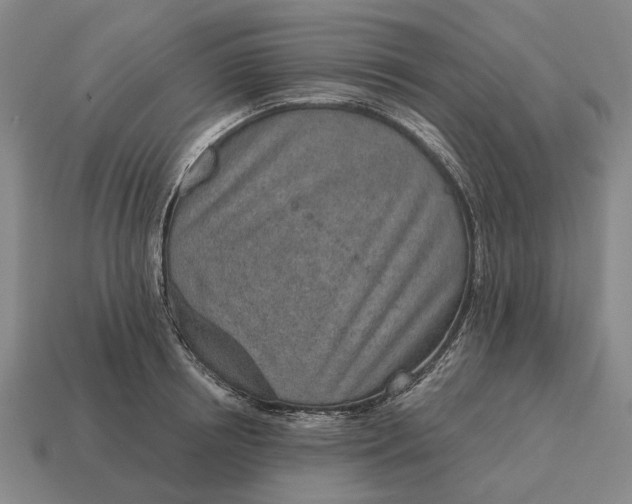 X0000115110850200911101604