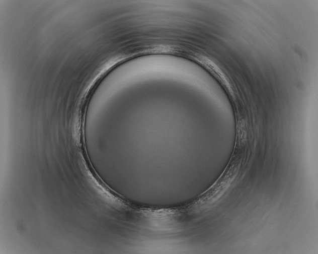 X0000115110851200911101604