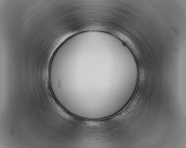 X0000115110852200911101604