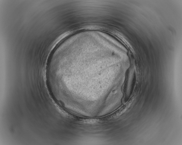 X0000115110853200911101604