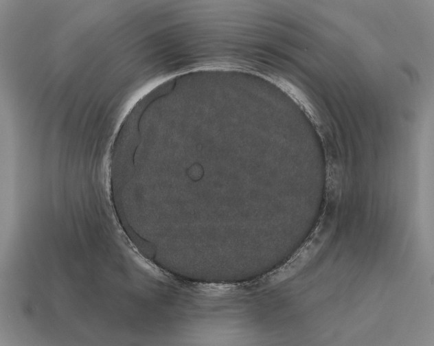 X0000115110854200911101604