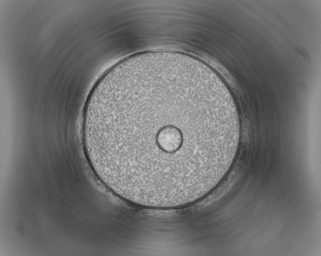 X0000115110856200911101604