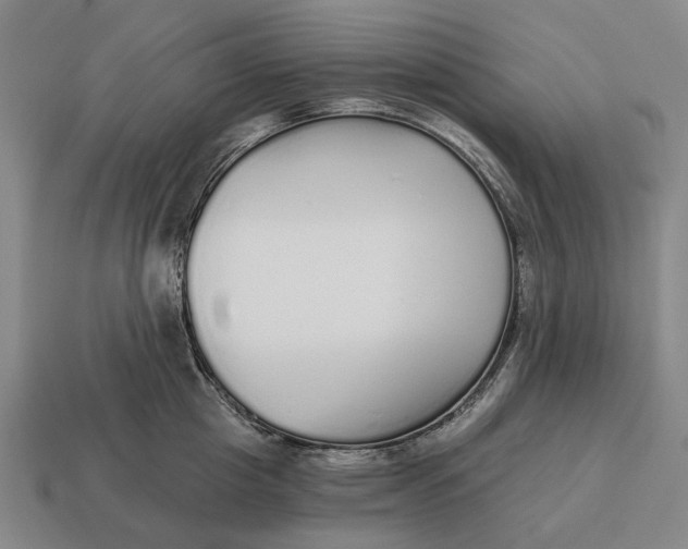 X0000115110857200911101604