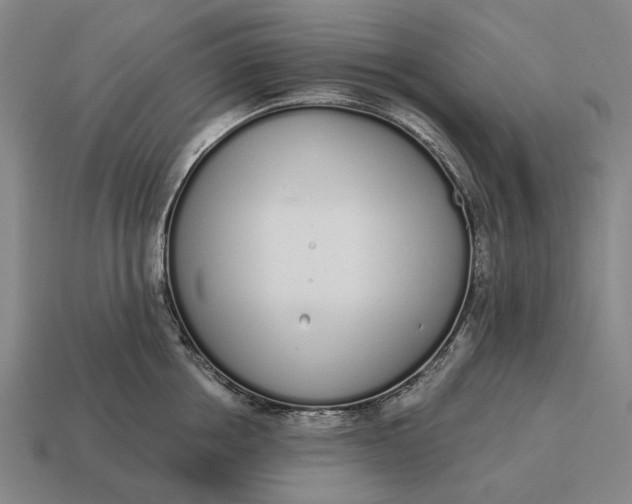X0000115110858200911101604