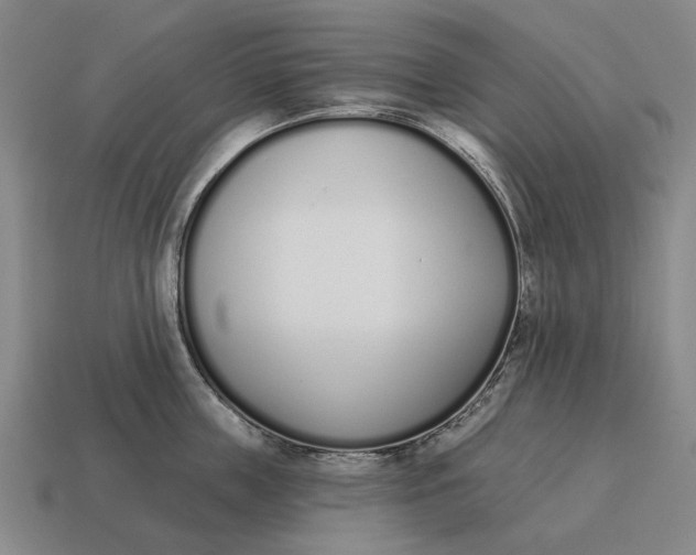 X0000115110859200911101604