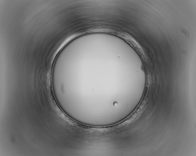 X0000115110860200911101604