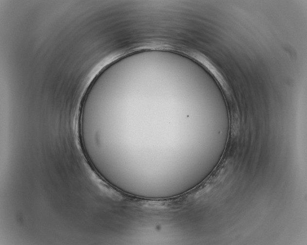 X0000115110861200911101604