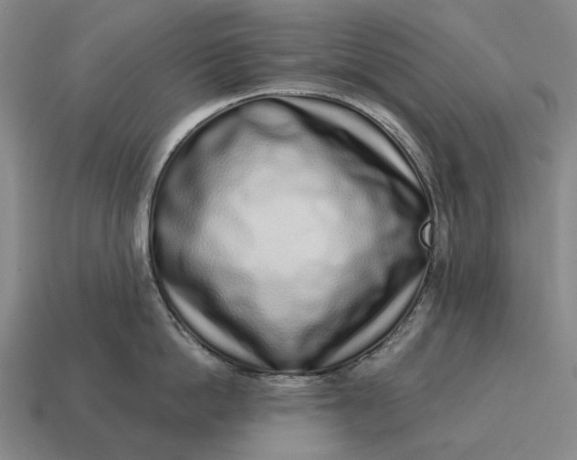 X0000115110862200911101604