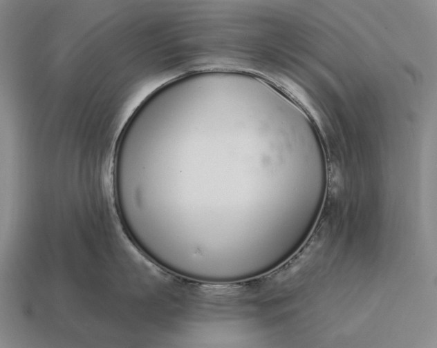X0000115110863200911101604