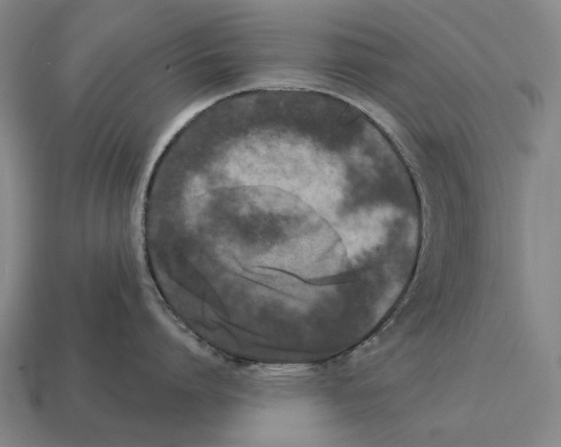 X0000115110864200911101604