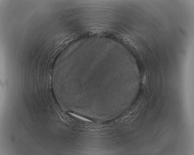 X0000115110868200911101603