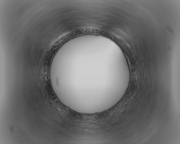X0000115110870200911101603