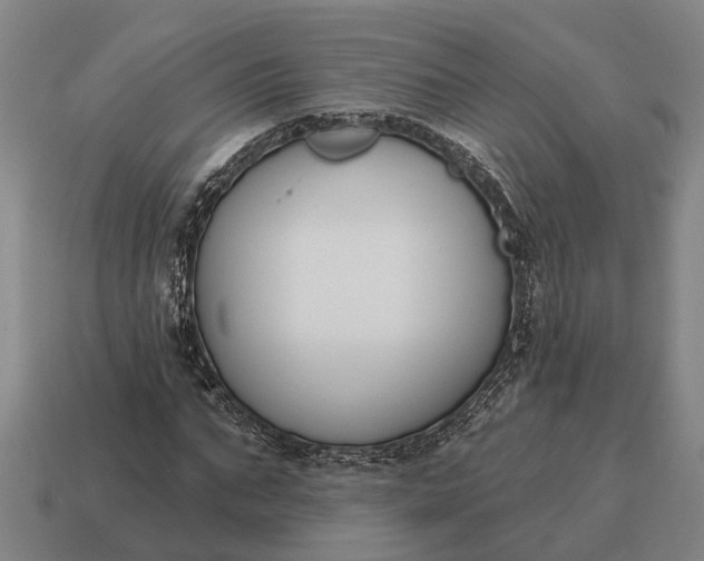 X0000115110871200911101603