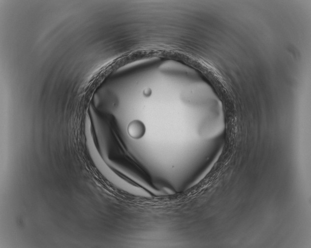 X0000115110872200911101603