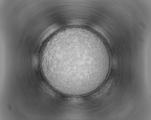 X0000115110874200911101603