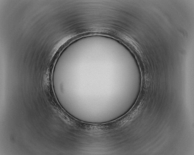 X0000115110875200911101603
