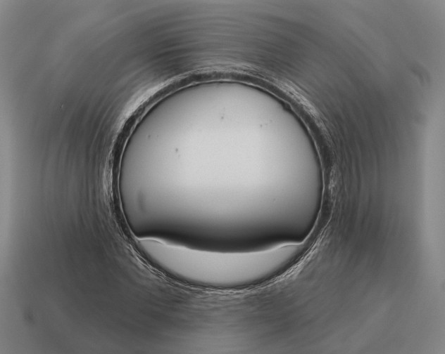 X0000115110877200911101603