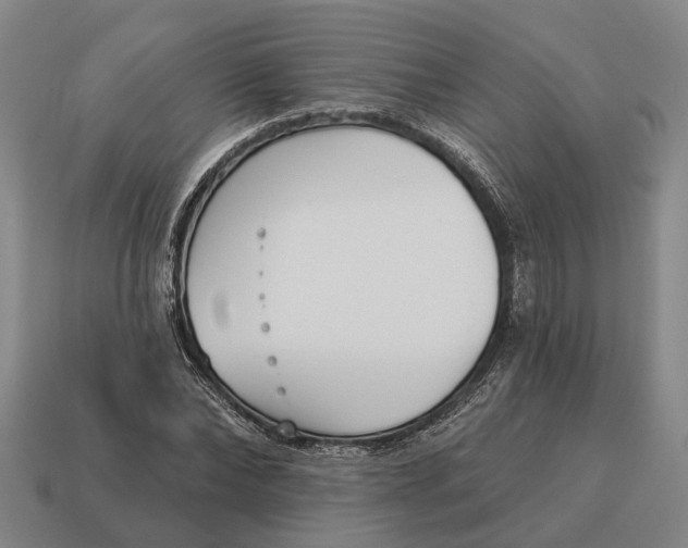 X0000115110878200911101603