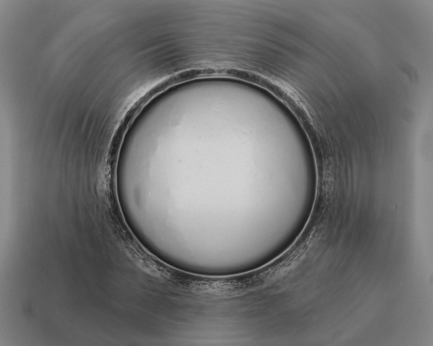X0000115110879200911101603