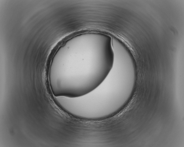 X0000115110880200911101603