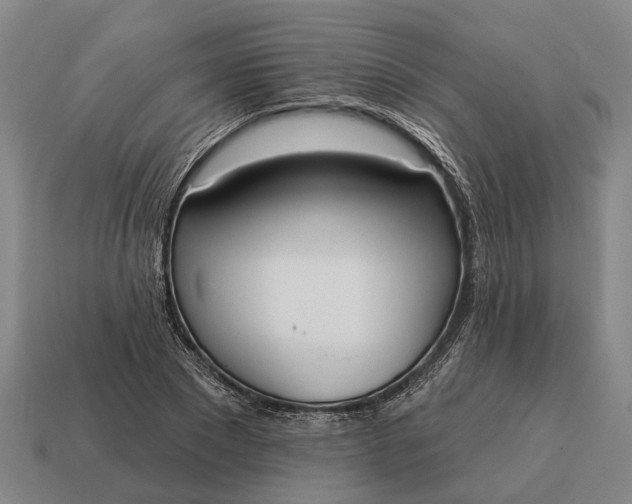 X0000115110881200911101603