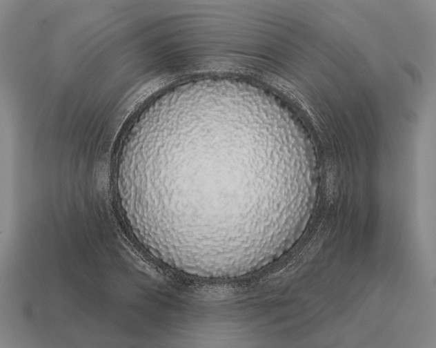 X0000115110882200911101603