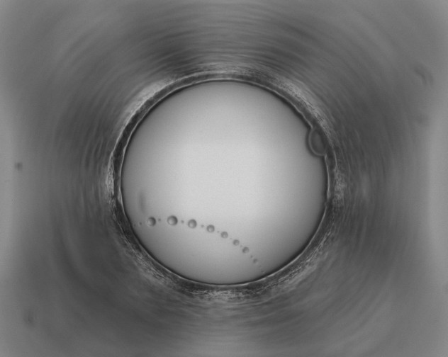 X0000115110883200911101603