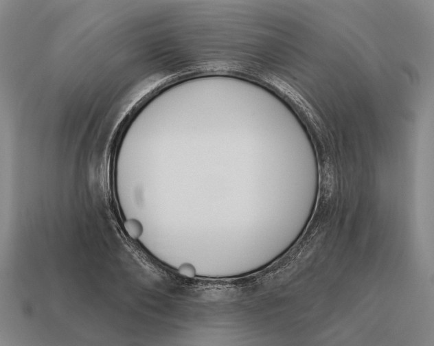 X0000115110886200911101603