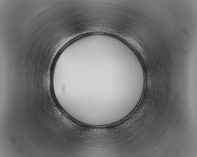 X0000115110888200911101603